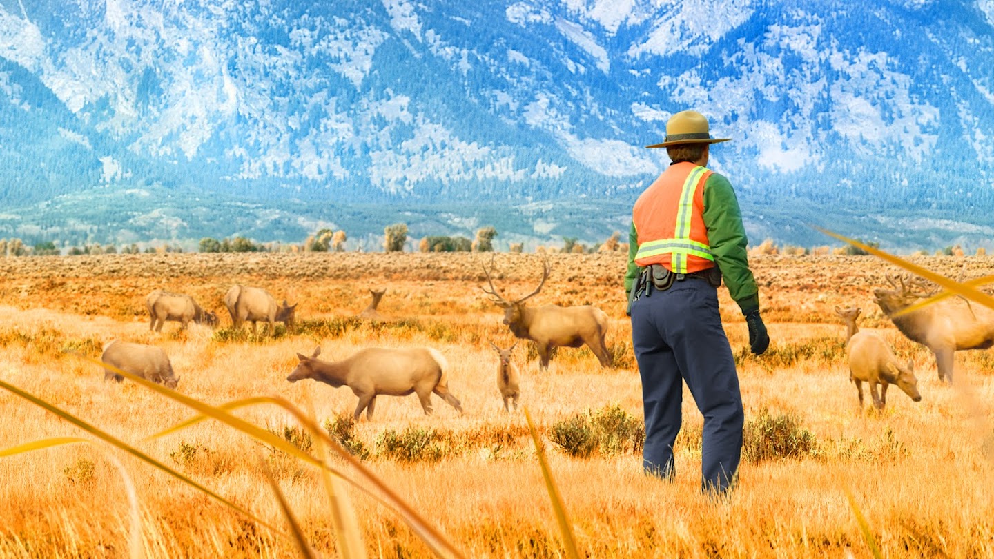 Yellowstone Wardens
