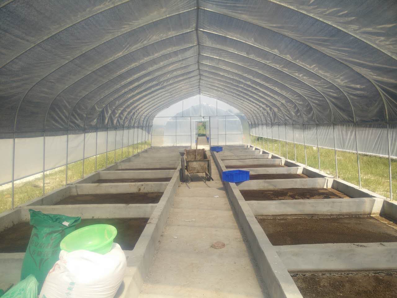 Black soldier fly farm in China - Supreme Grubs Amazon seller