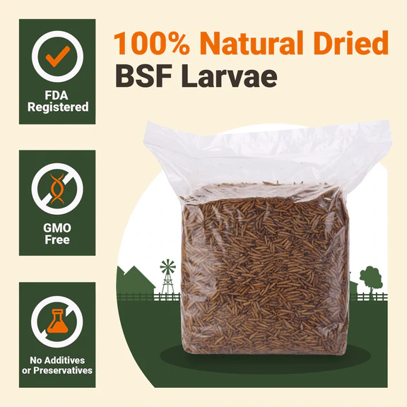 Supreme Grubs black soldier flies available on Amazon.com and Amazon.sg | Amazon Global Selling